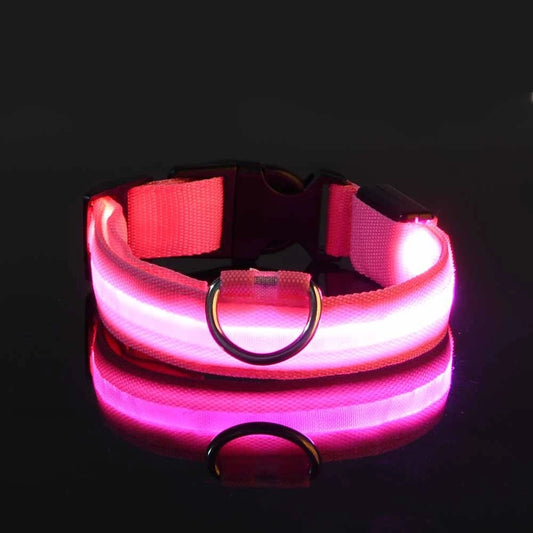 LED Safety Dog Leash 🐕✨