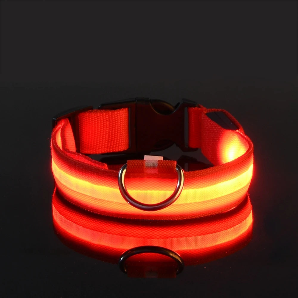 LED Safety Dog Leash 🐕✨