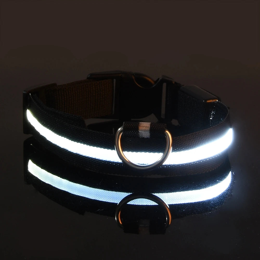 LED Safety Dog Leash 🐕✨