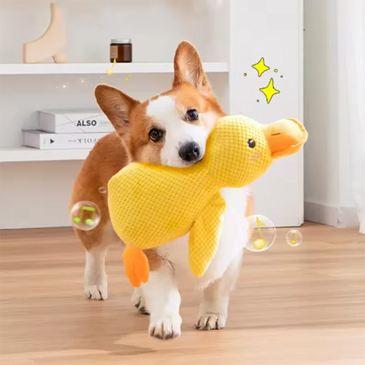 Interactive Duck Dog Toy
