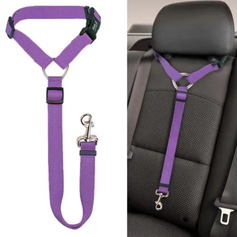 Pet Car Seatbelt Leash