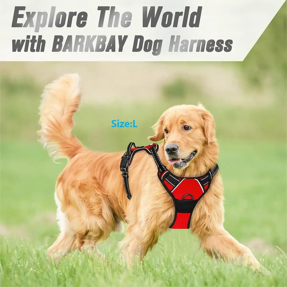 Control Dog Harness