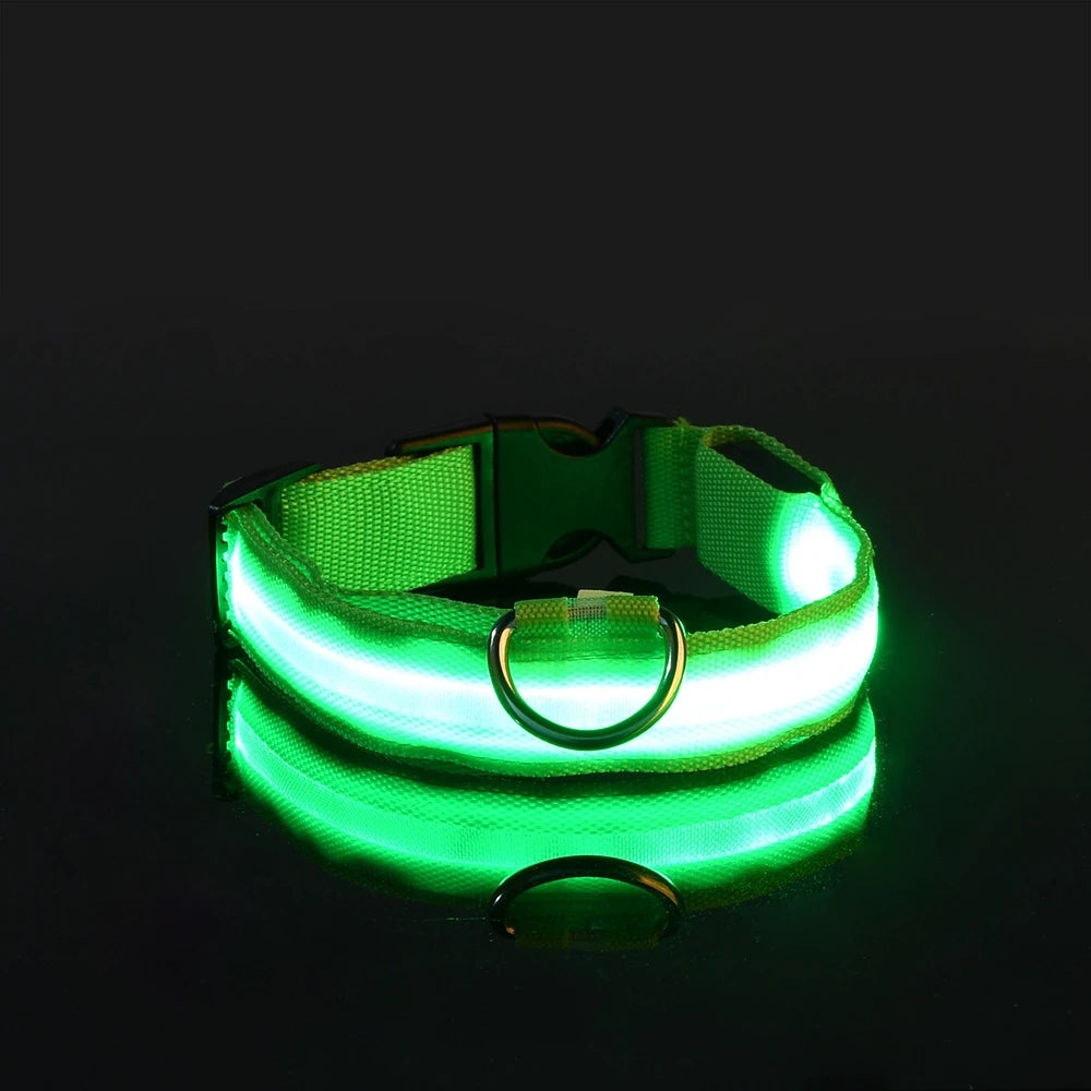 LED Safety Dog Leash 🐕✨