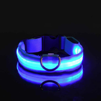 LED Safety Dog Leash 🐕✨