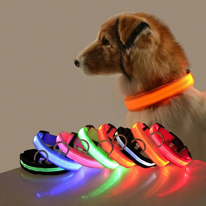 LED Safety Dog Leash 🐕✨