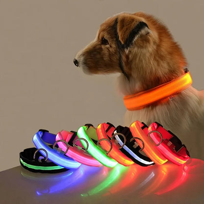 LED Safety Dog Leash 🐕✨