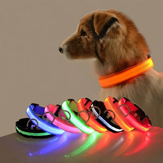 LED Safety Dog Leash 🐕✨