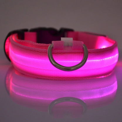 LED Safety Dog Leash 🐕✨