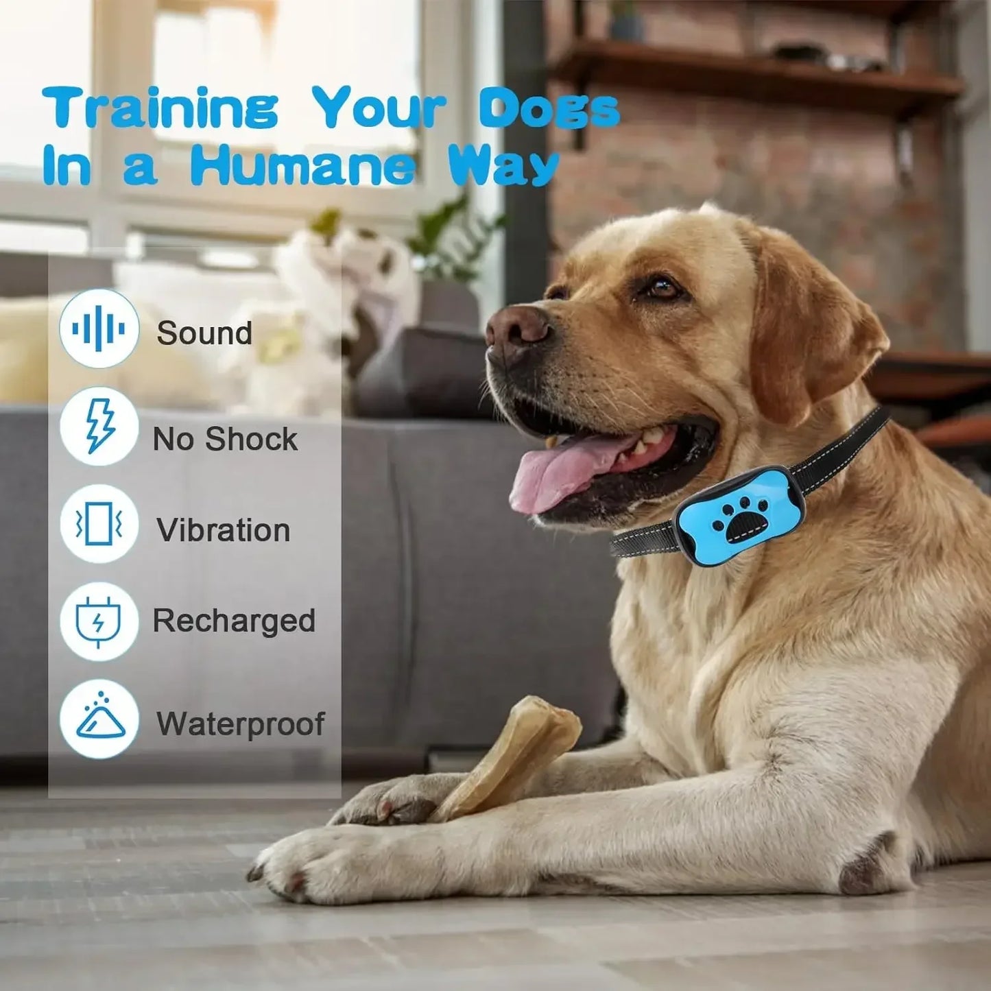 ⭐ Ultrasonic Bark Collar
