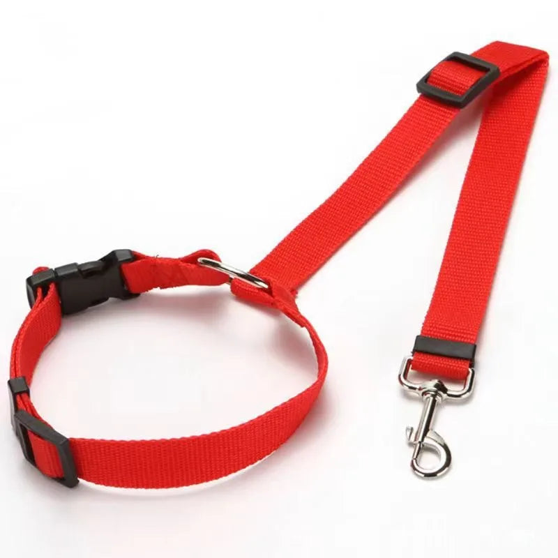 Pet Car Seatbelt Leash