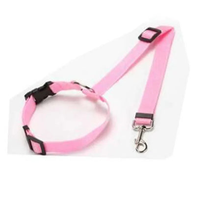 Pet Car Seatbelt Leash
