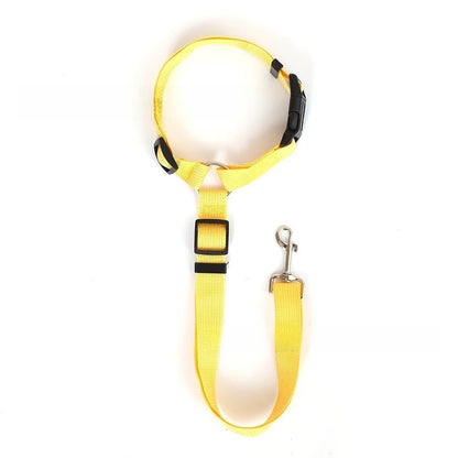Pet Car Seatbelt Leash